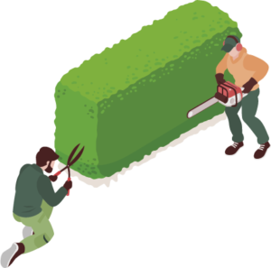 Pensasaidan leikkaus