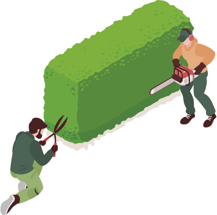 Pensasaidan leikkaus