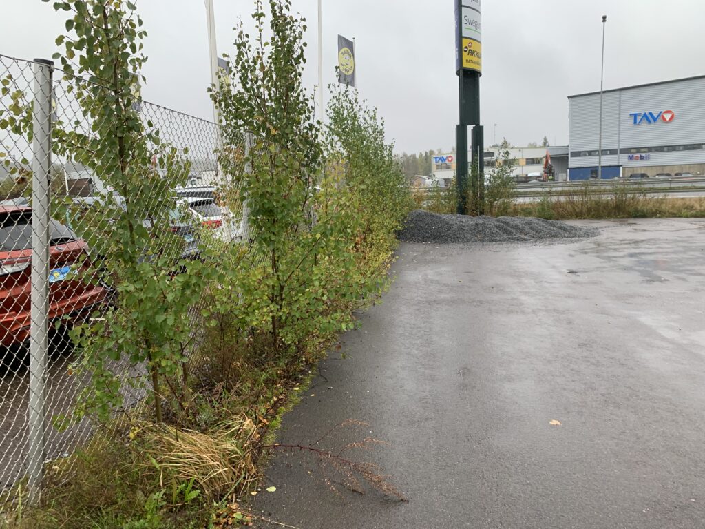 Pajukon raivaus Top-Osa