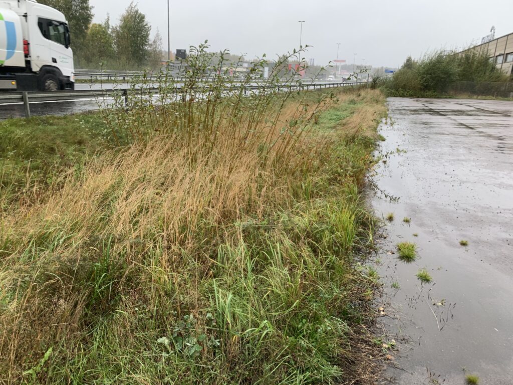 Lähtötilanne Top-Osa