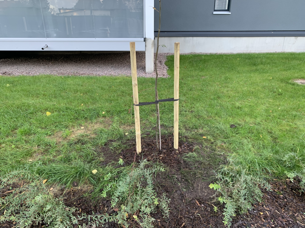 Puun tukisidonta taloyhtiö