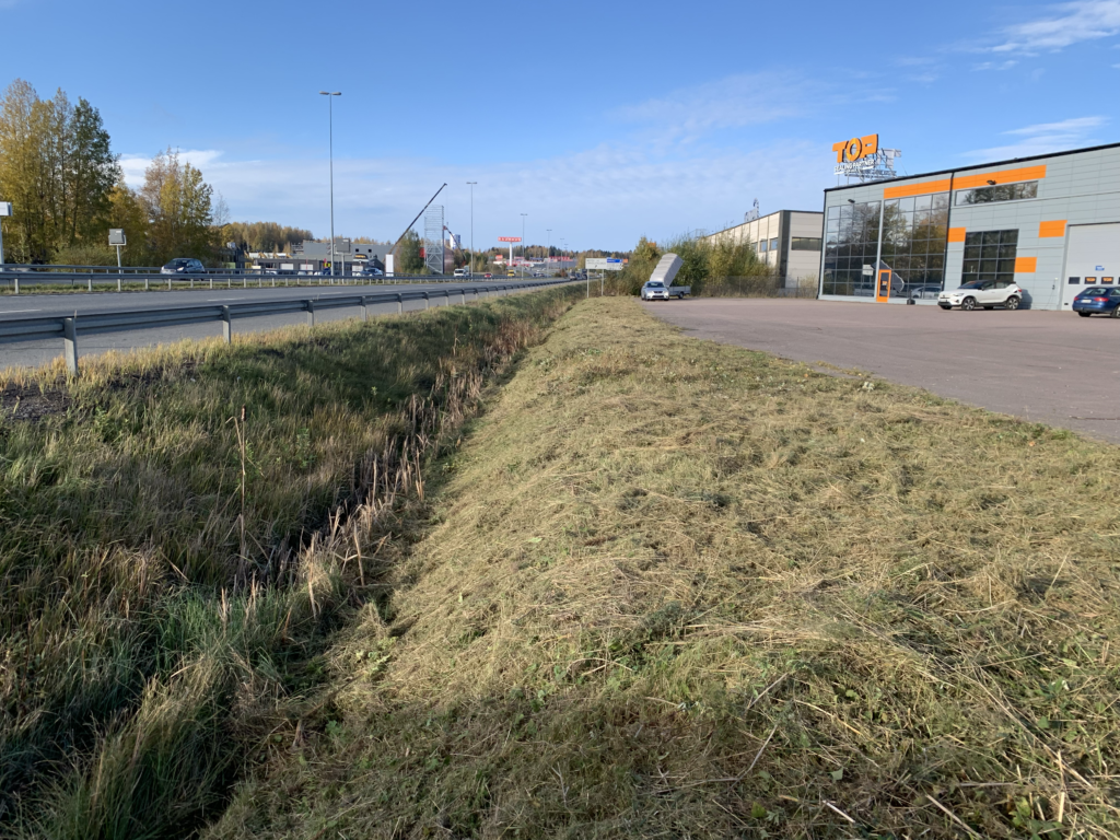 Rinteen heinikon raivaus