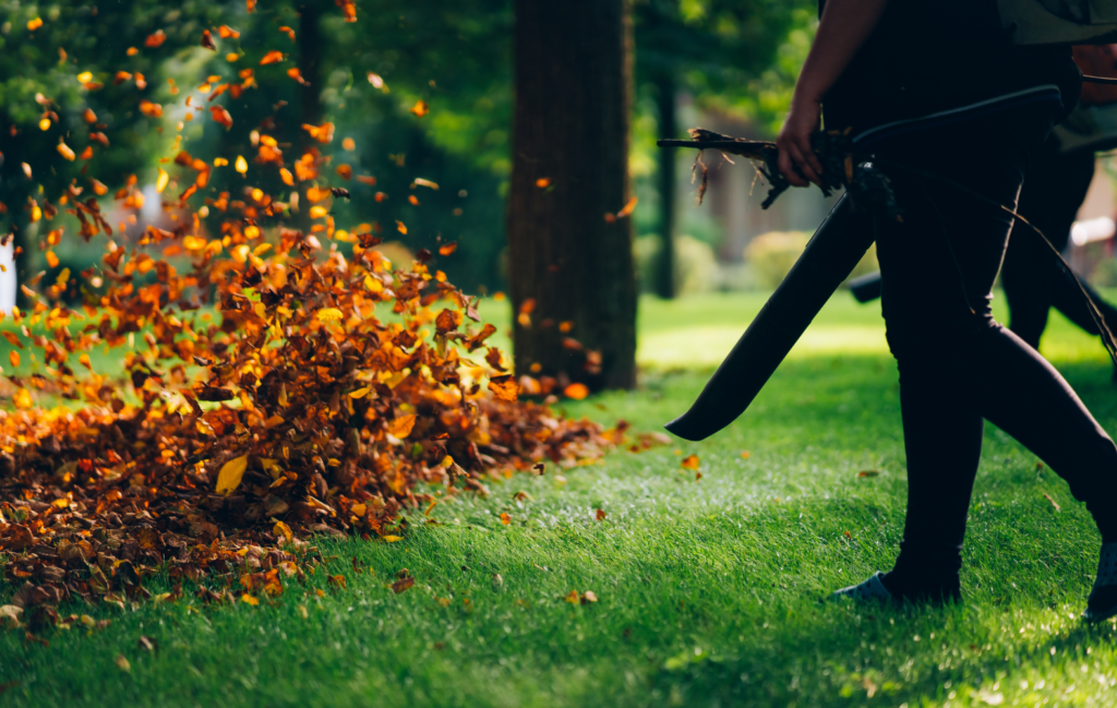Keväiseten lehtien haravointi