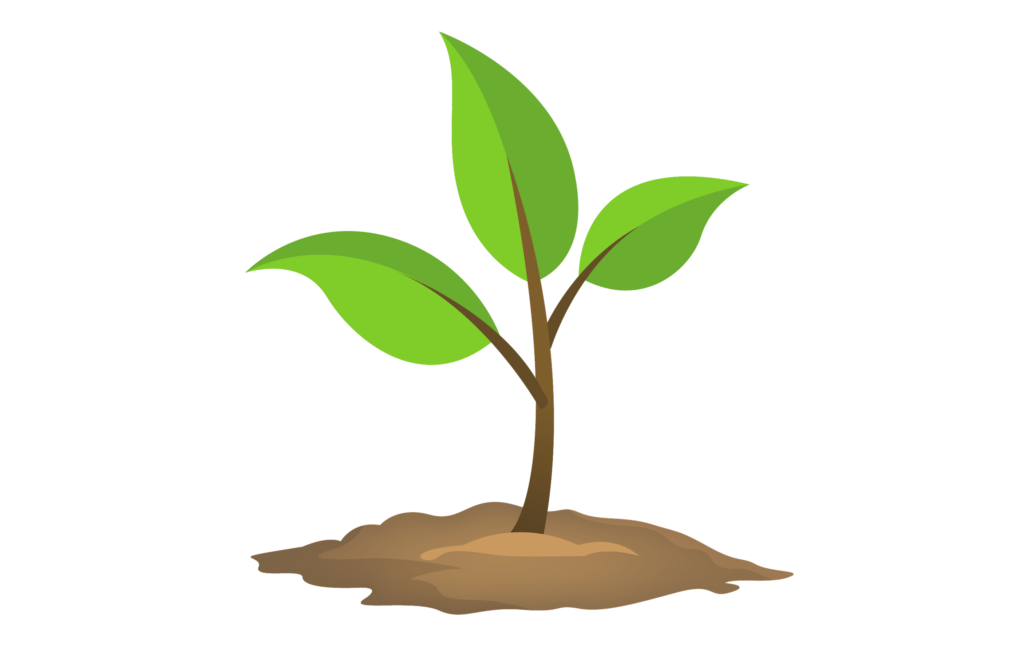 Rikkaruohojen kitkentä