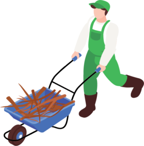 Pajukon hävittäminen