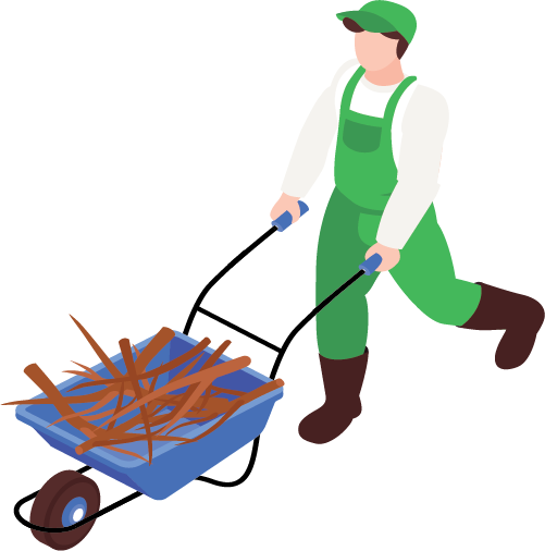 Pajukon hävittäminen